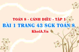 Bài 1 trang 42 SGK Toán 8 tập 1 Cánh Diều